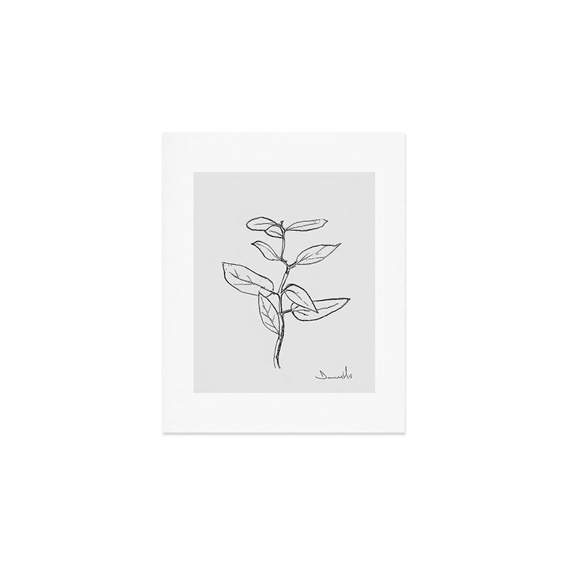 Eucalyptus sapling Art Print Gallery Image 1