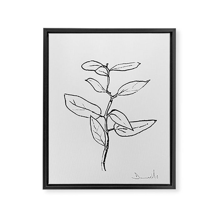 Eucalyptus sapling Framed Canvas Print Gallery Image 1
