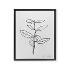 Eucalyptus sapling Framed Canvas Print Gallery Image 6