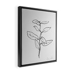 Eucalyptus sapling Framed Canvas Print Gallery Image 2