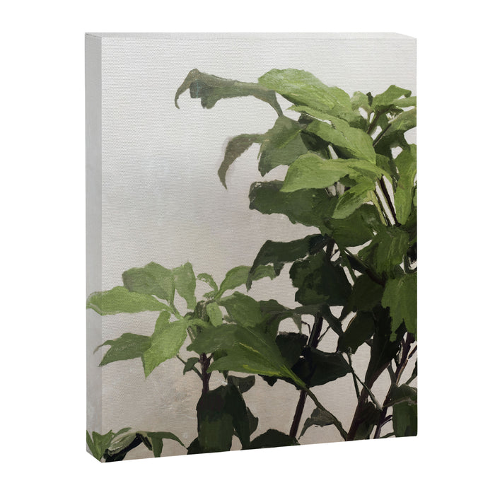 Grown Canvas Print Gallery Image 1