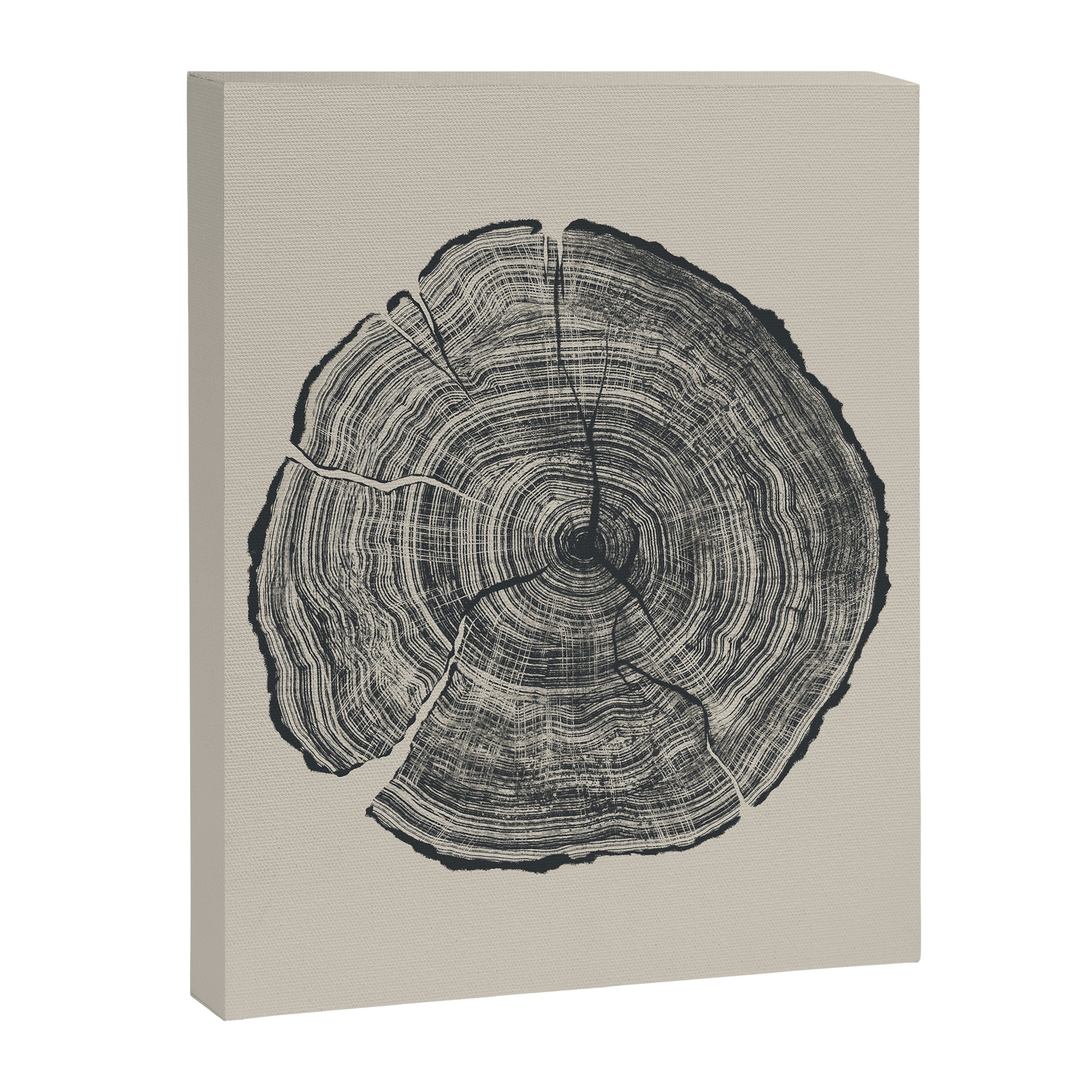 Hand-Drawn Oak Canvas Print Gallery Image 8