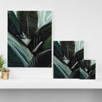 Lush Lux Canvas Print Gallery Image 3
