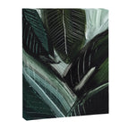 Lush Lux Canvas Print Gallery Image 6