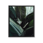 Lush Lux Framed Canvas Print Gallery Image 6
