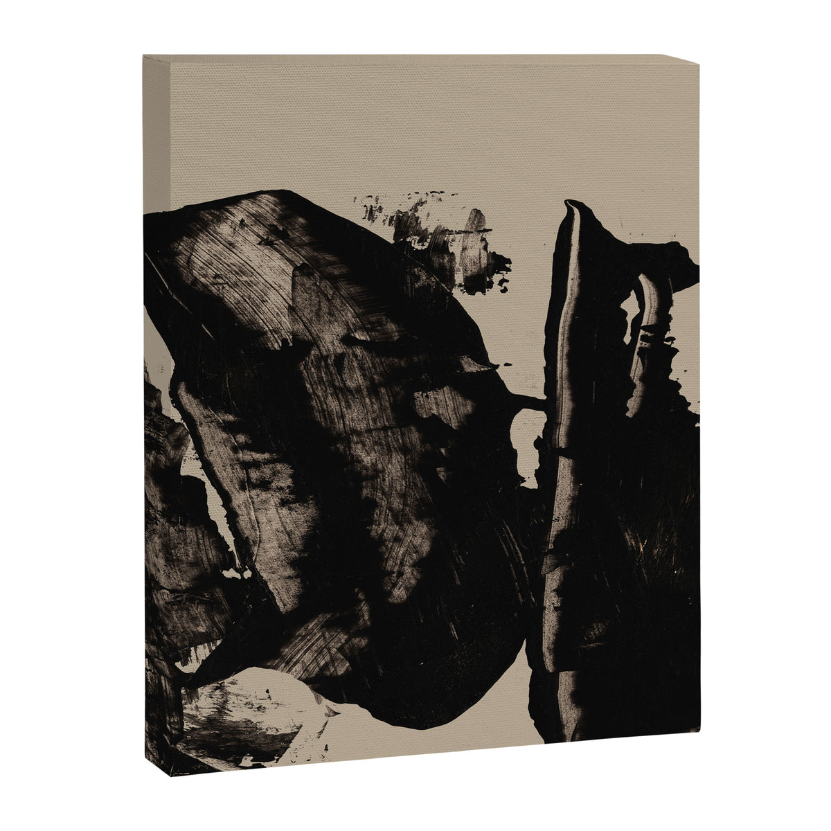 Mono 5 Canvas Print Gallery Image 6
