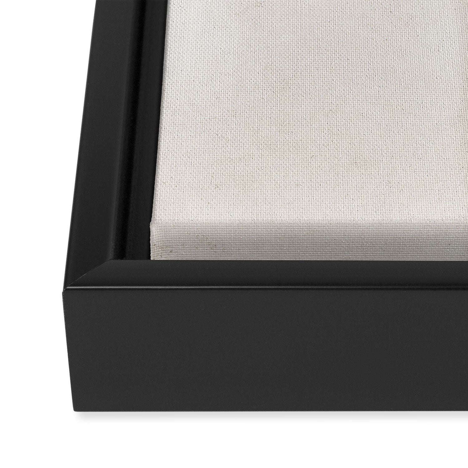 Noble Framed Canvas Print Gallery Image 3