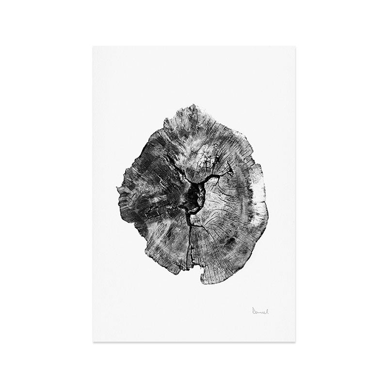 Oak log Art Print Gallery Image 1