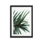 Palm Framed Art Print Gallery Image 2