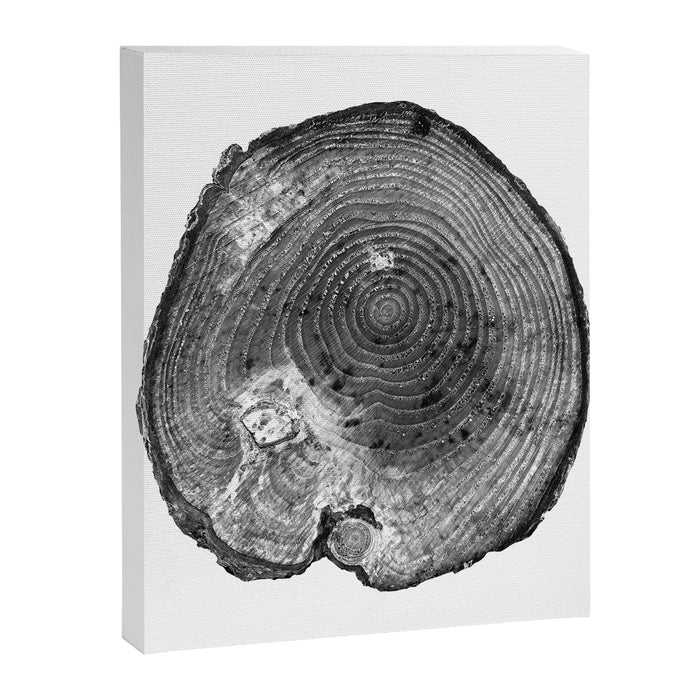 Pine Log Canvas Print Gallery Image 1
