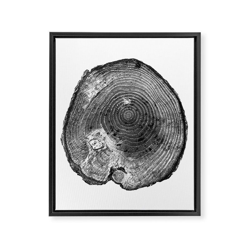 Pine Log Framed Canvas Print Gallery Image 6