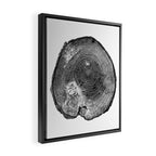 Pine Log Framed Canvas Print Gallery Image 2