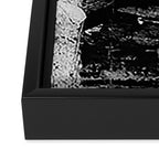 Plume Framed Canvas Print Gallery Image 3
