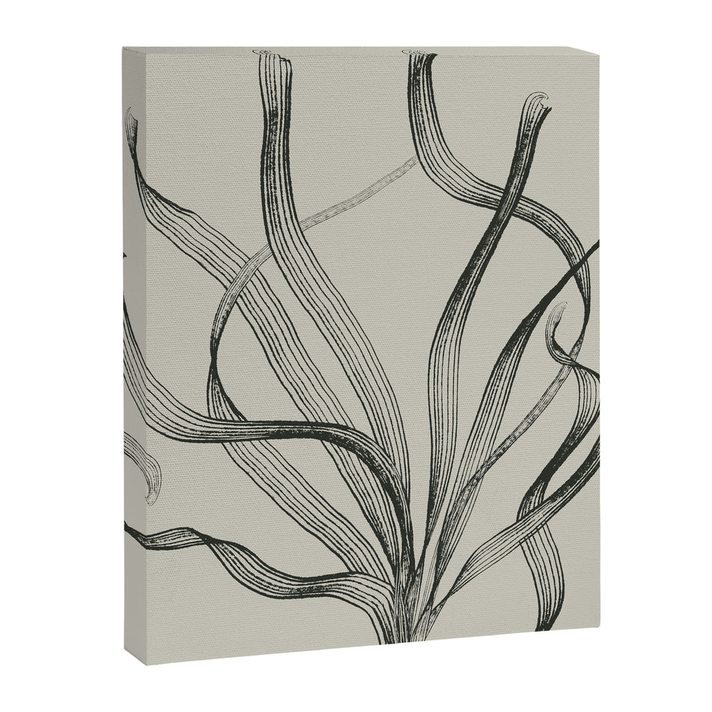 Seagrass 2 Canvas Print Gallery Image 8