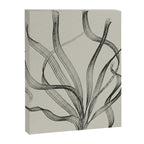 Seagrass 2 Canvas Print Gallery Image 8