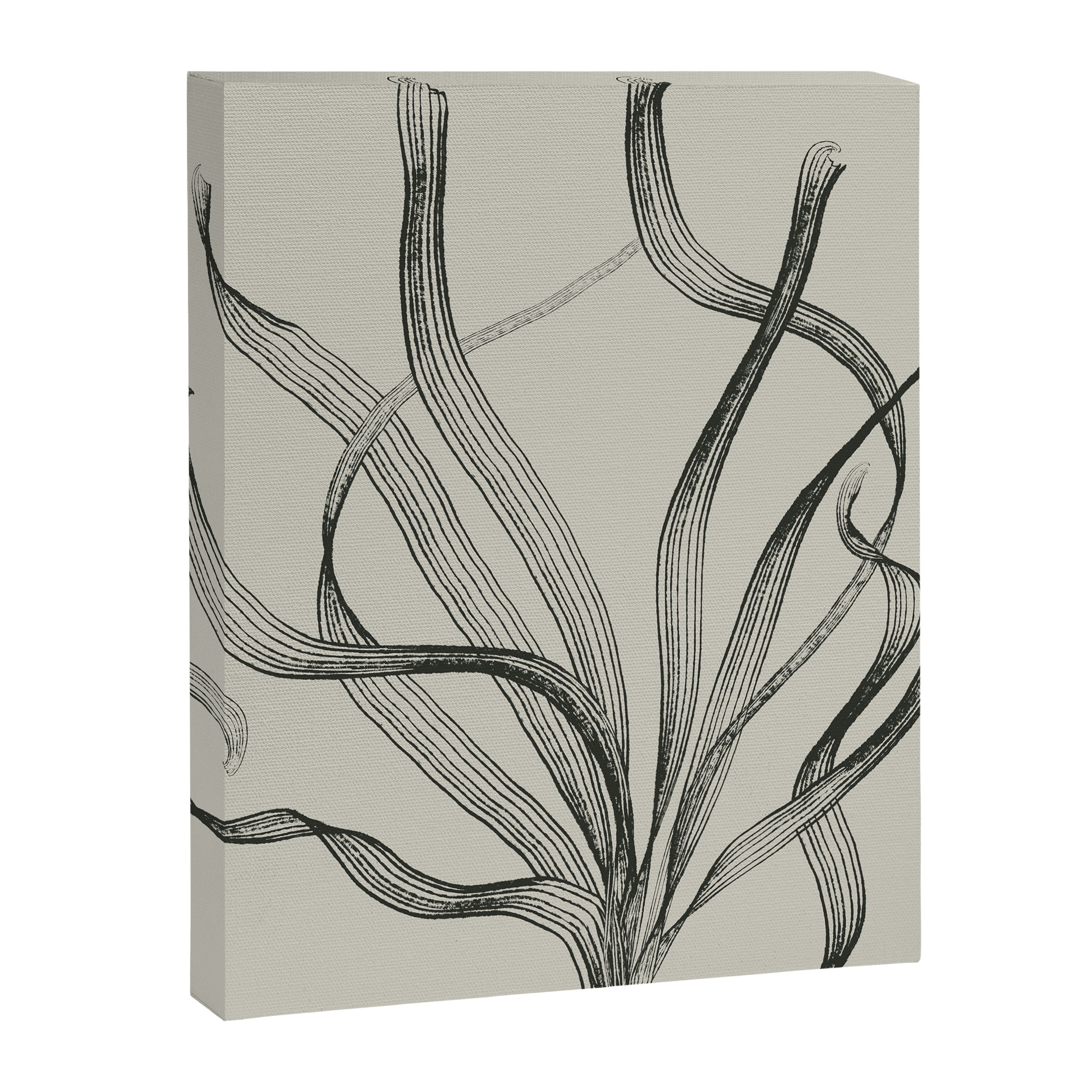 Seagrass 2 Canvas Print Gallery Image 8