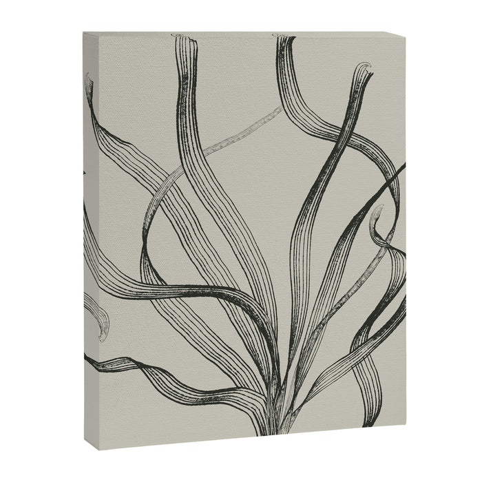 Seagrass 2 Canvas Print Gallery Image 1