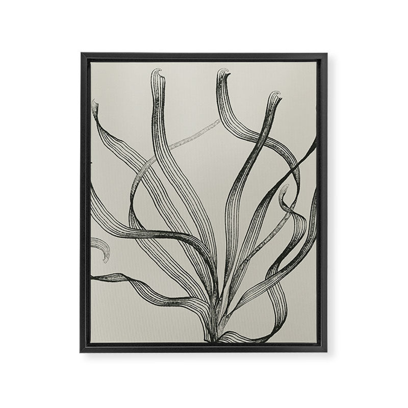 Seagrass 2 Framed Canvas Print Gallery Image 8