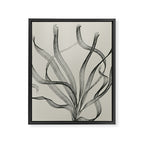 Seagrass 2 Framed Canvas Print Gallery Image 8