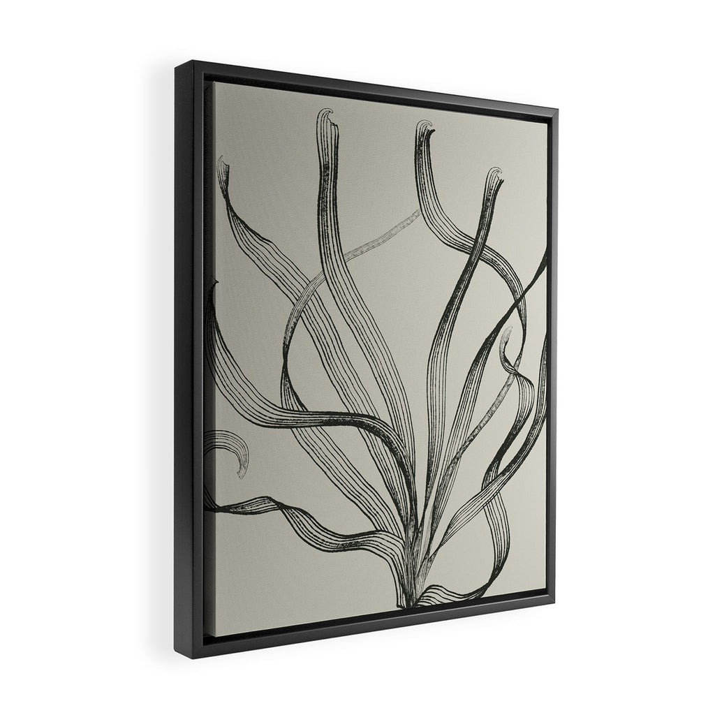 Seagrass 2 Framed Canvas Print Gallery Image 2