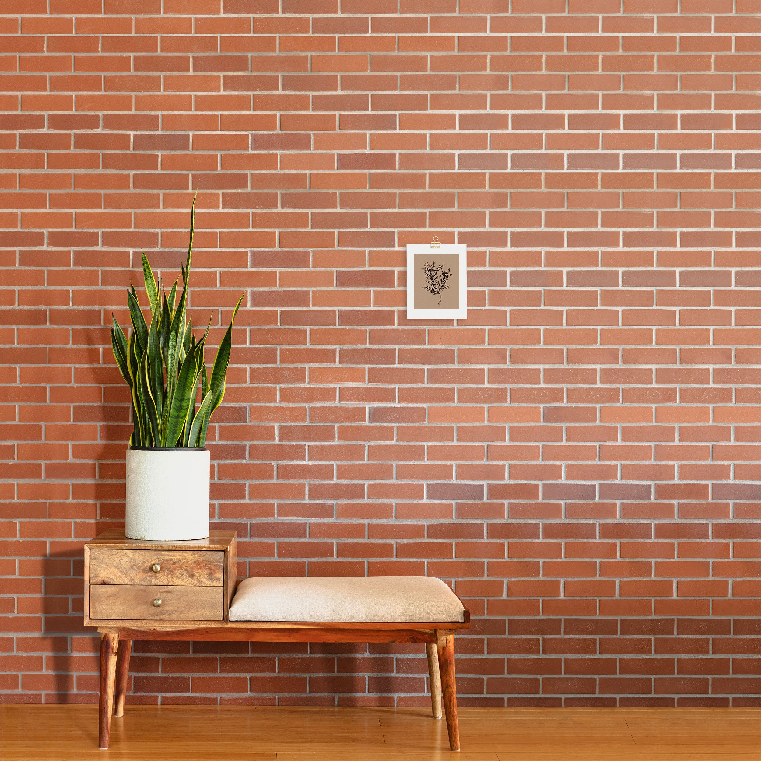 Seedling Art Print Gallery Image 2