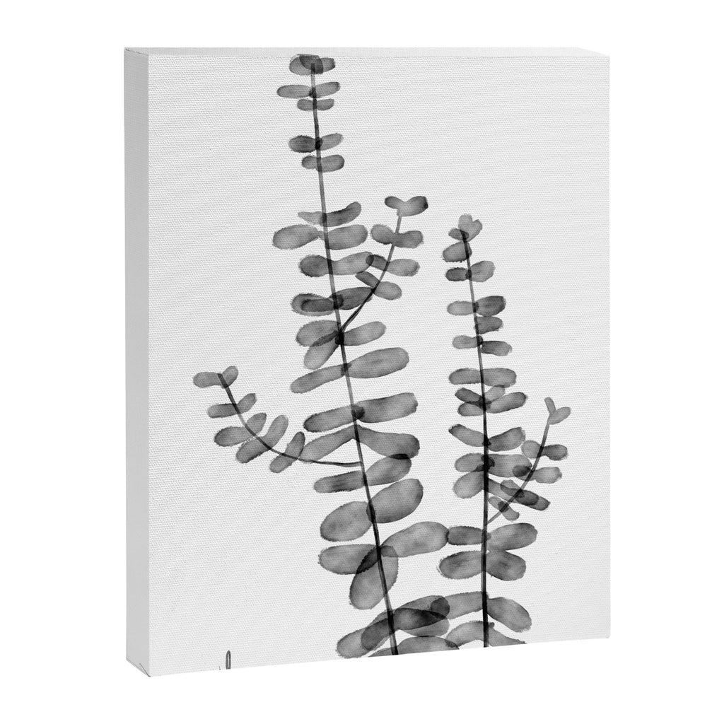 Silver Dollar Canvas Print Gallery Image 6