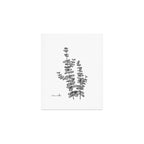Silver Dollar Art Print Gallery Image 1