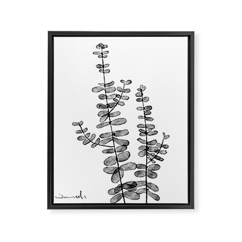 Silver Dollar Framed Canvas Print Gallery Image 6