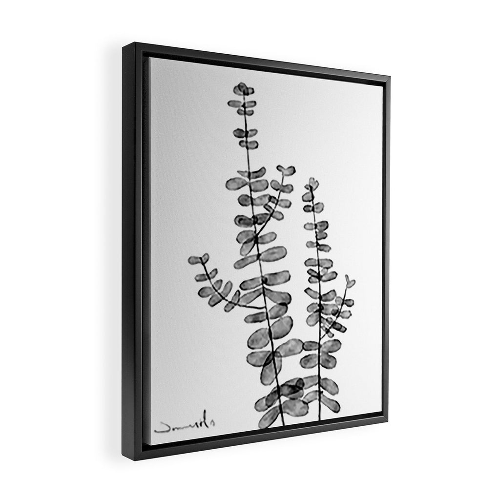 Silver Dollar Framed Canvas Print Gallery Image 2