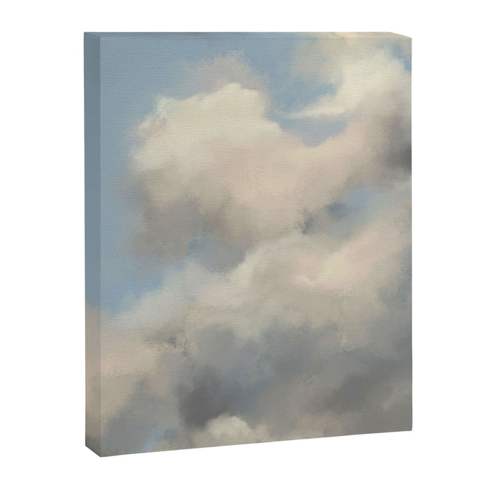 Skys Canvas Print Gallery Image 1