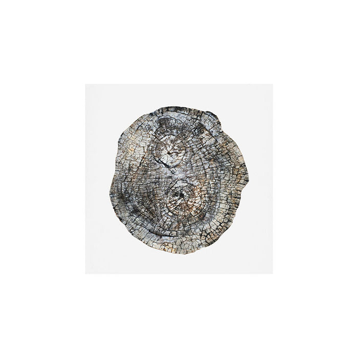 Tree Rings Art Print Gallery Image 1