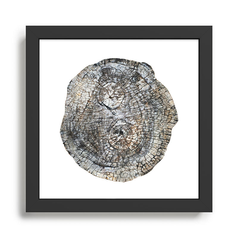 Tree Rings Framed Art Print Gallery Image 1