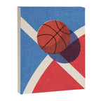BALLS / Basketball - outdoor II Canvas Print Gallery Image 6
