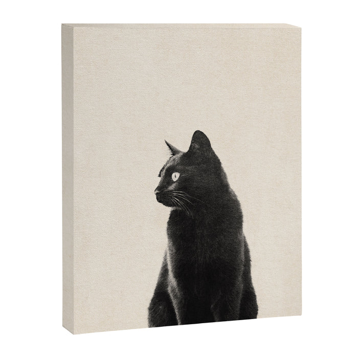 Black Cat Canvas Print Gallery Image 1