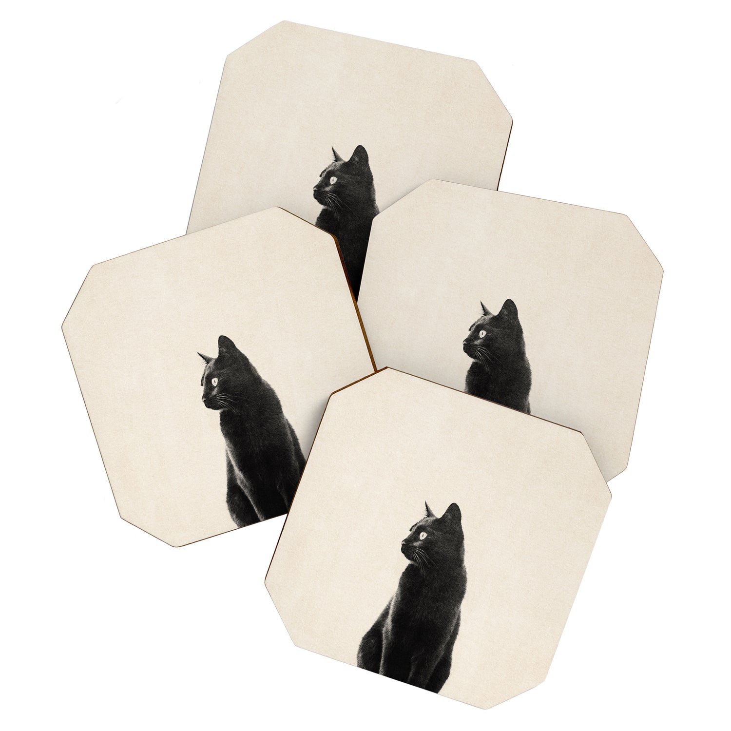 Black Cat Coaster Gallery Image 1