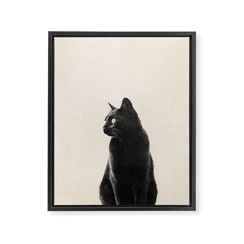 Black Cat Framed Canvas Print Gallery Image 6