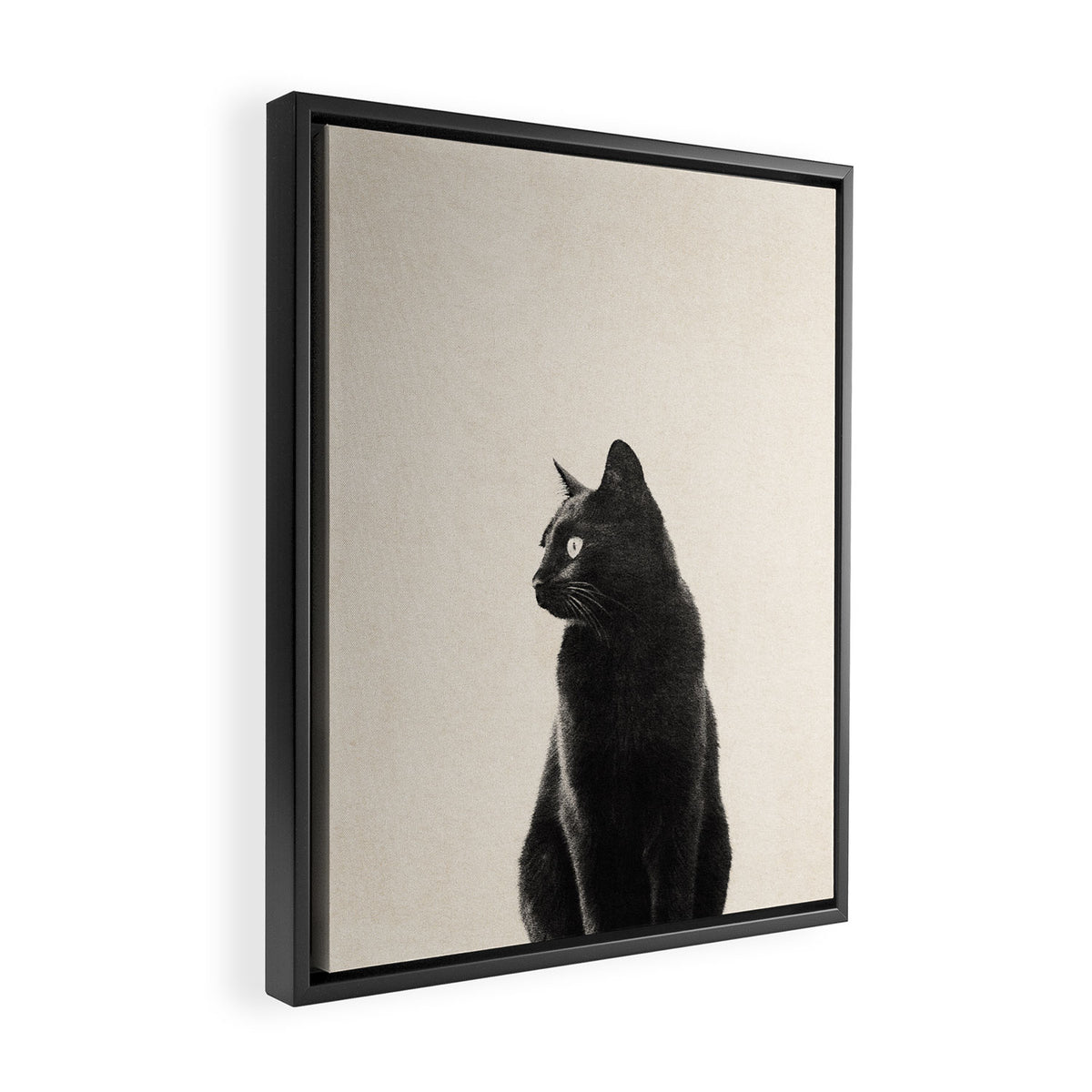 Black Cat Framed Canvas Print Gallery Image 2