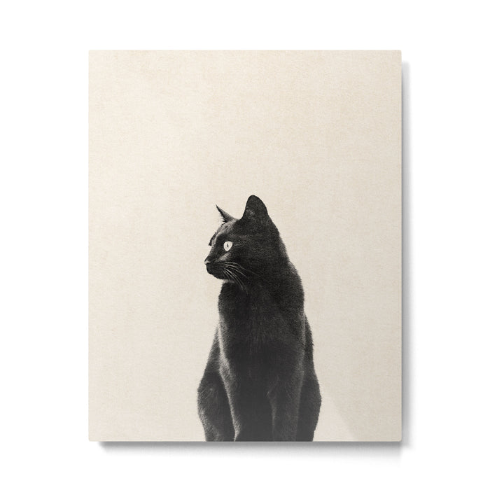 Black Cat Metal Print Gallery Image 1