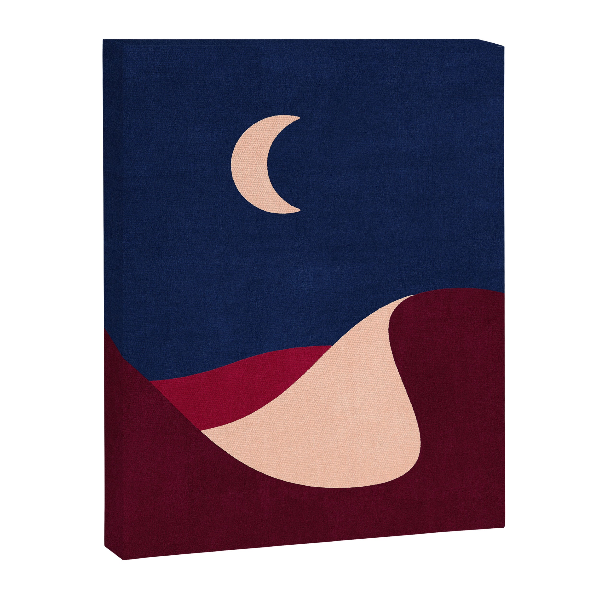 LANDSHAPES - Desert - night Canvas Print Gallery Image 6