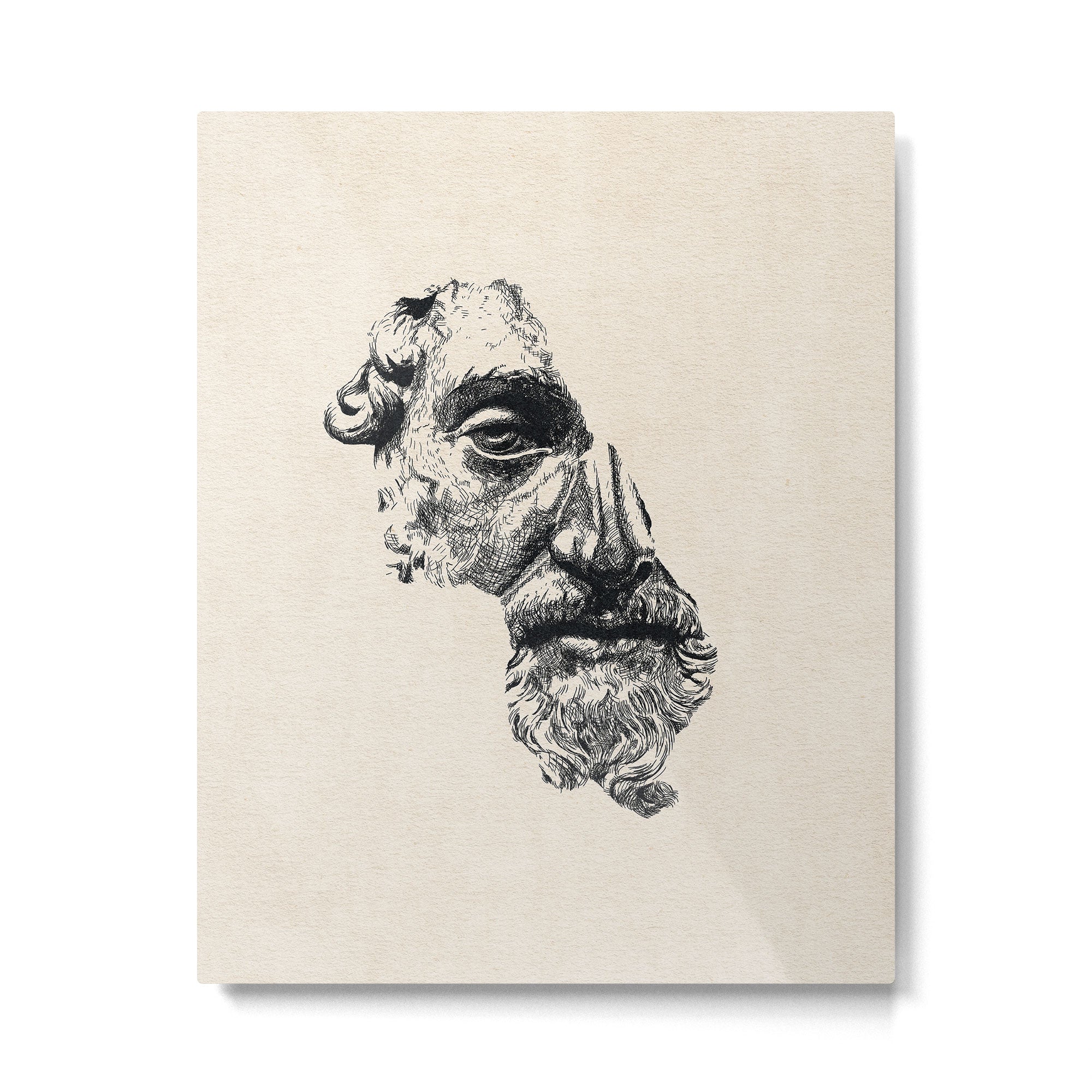 MARCUS AURELIUS ANTONINUS AUGUSTUS / Ink Metal Print Gallery Image 4