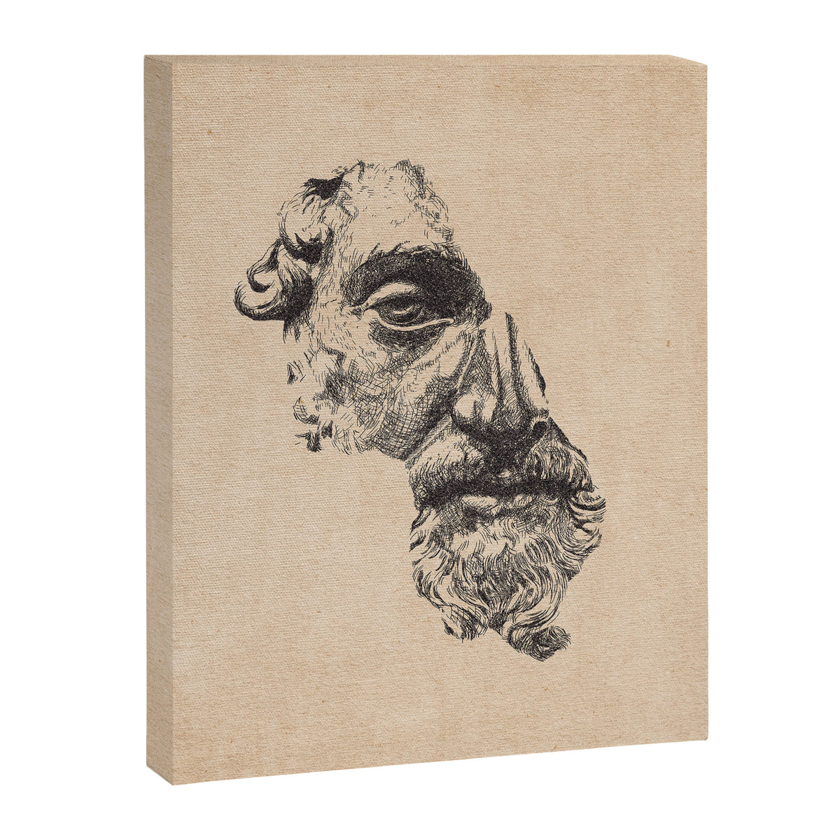 MARCUS AURELIUS ANTONINUS AUGUSTUS / Pencil Canvas Print Gallery Image 6