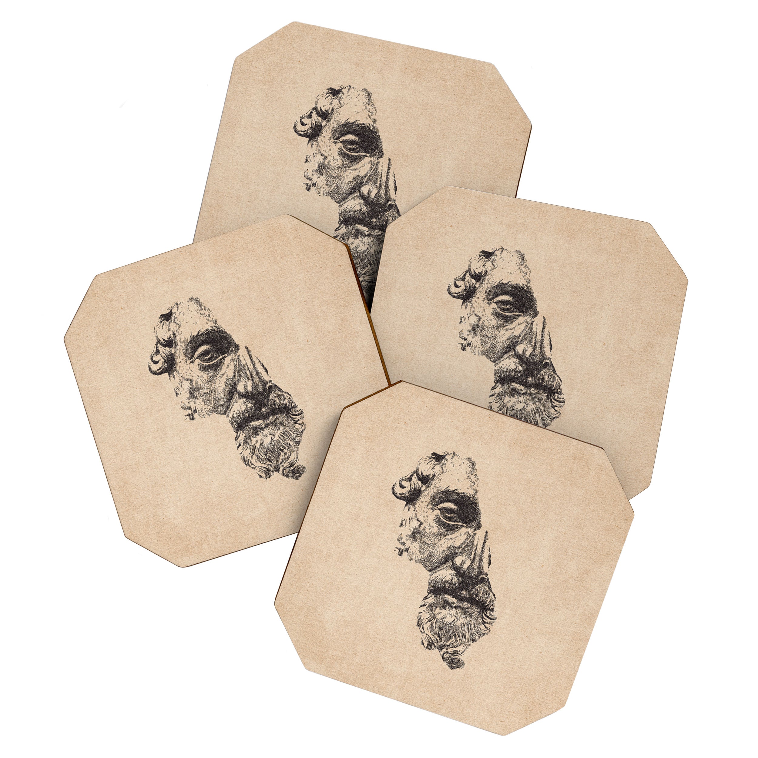 MARCUS AURELIUS ANTONINUS AUGUSTUS / Pencil Coaster Gallery Image 1
