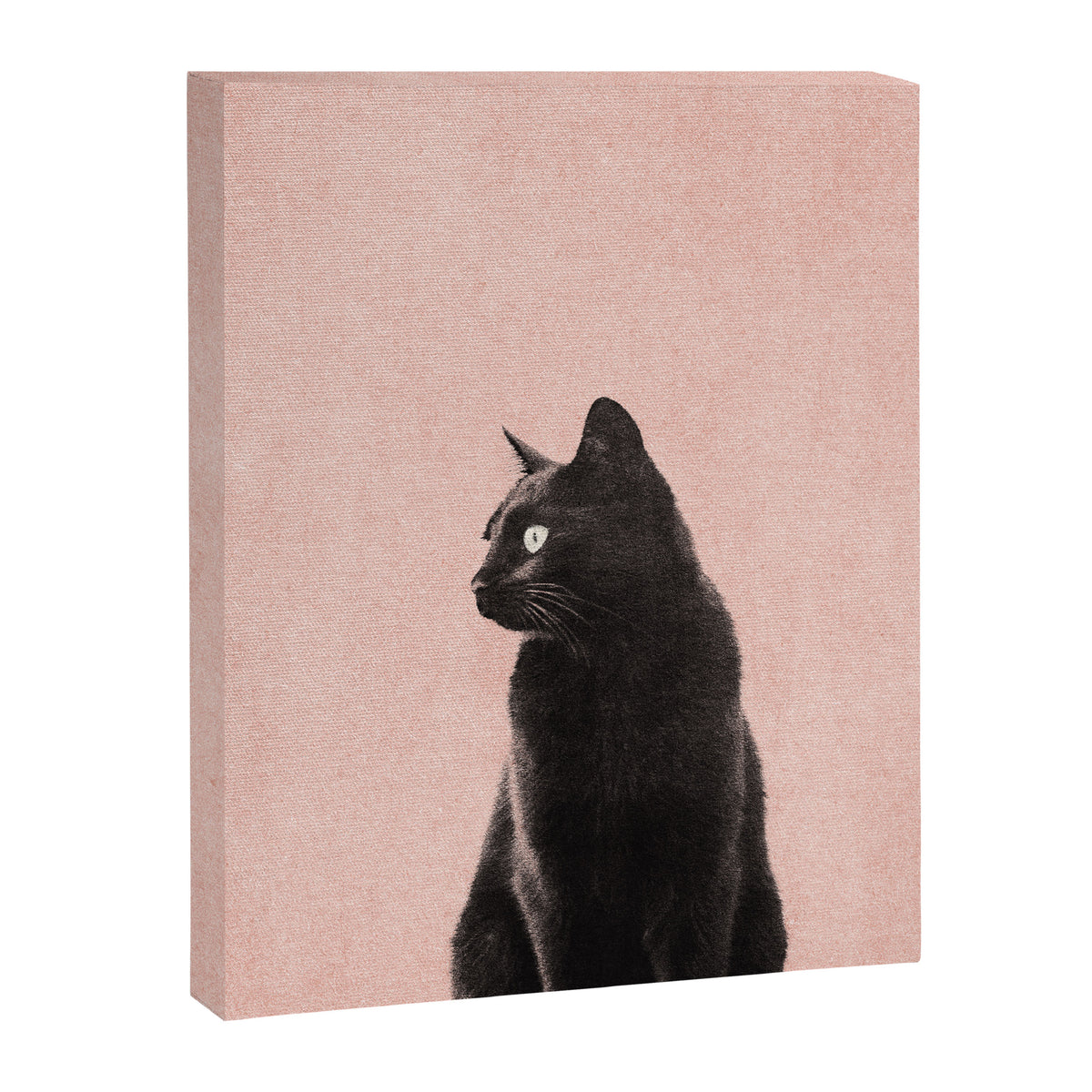 MINIMAL ANIMAL / Black Cat - peach Canvas Print Gallery Image 6