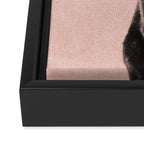 MINIMAL ANIMAL / Black Cat - peach Framed Canvas Print Gallery Image 3