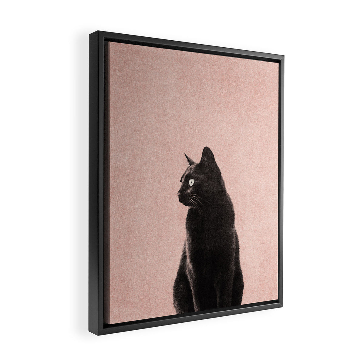 MINIMAL ANIMAL / Black Cat - peach Framed Canvas Print Gallery Image 2
