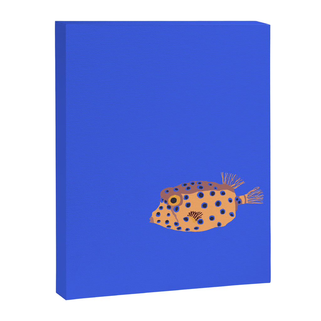 Box Fish Canvas Print Gallery Image 8