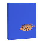 Box Fish Canvas Print Gallery Image 8