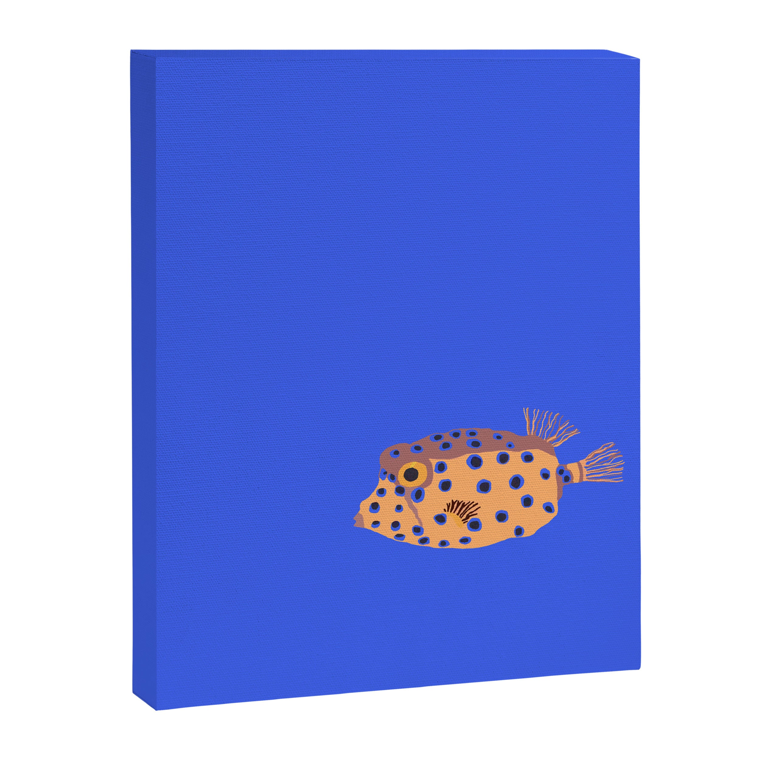 Box Fish Canvas Print Gallery Image 8