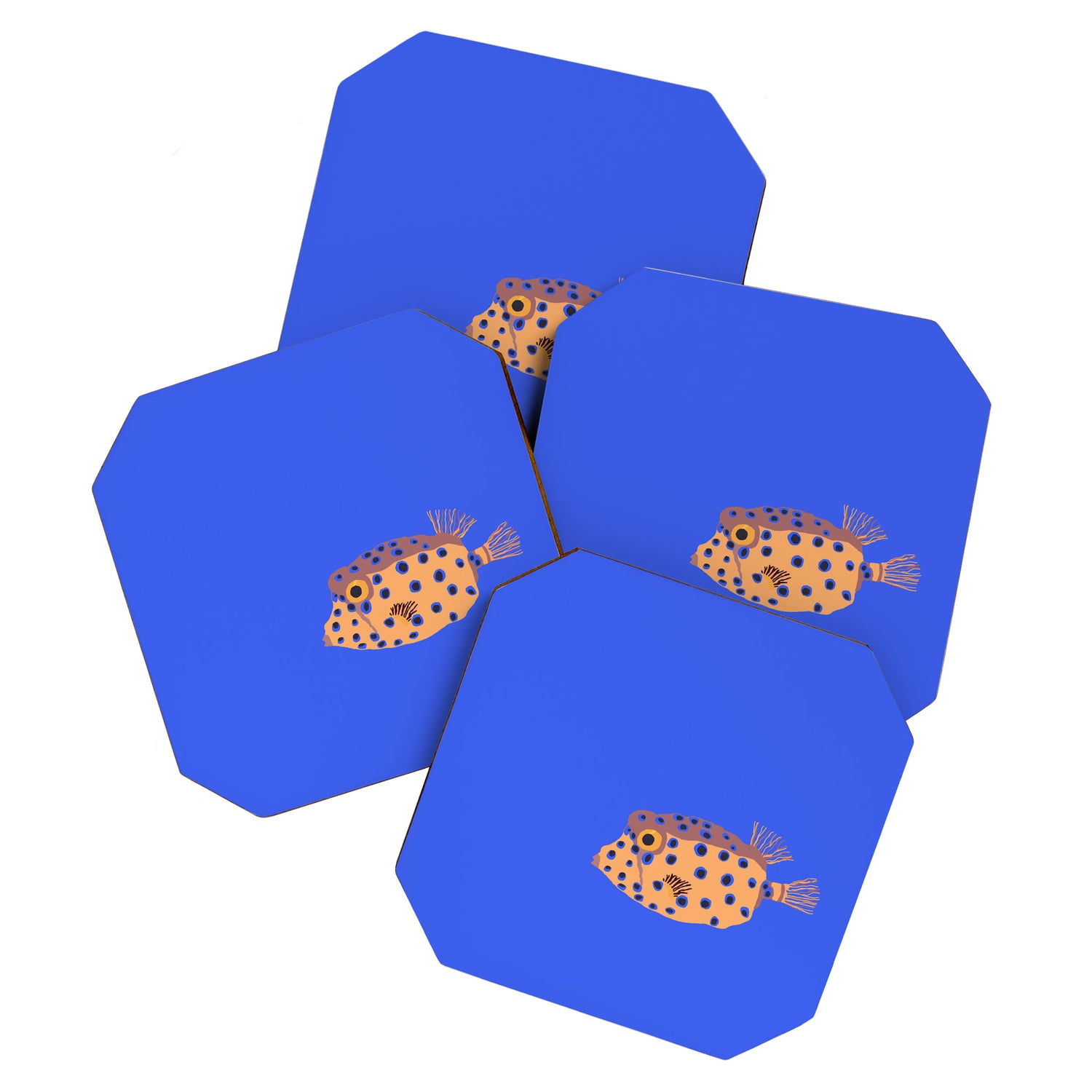 Box Fish Coaster Gallery Image 1