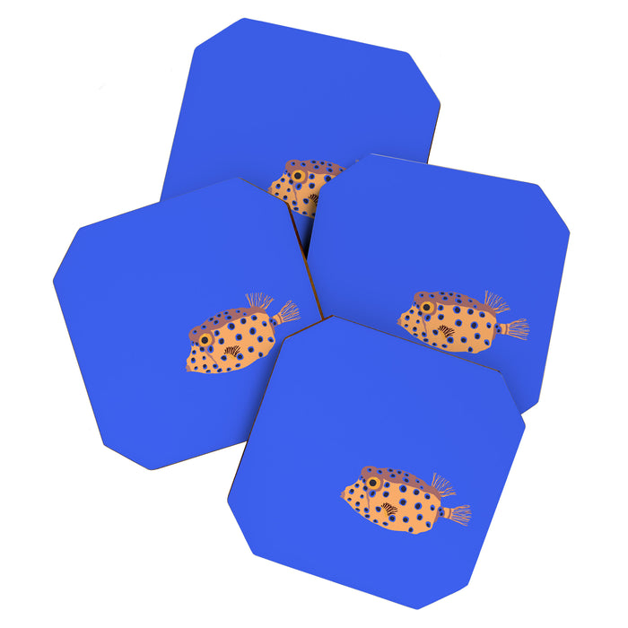Box Fish Coaster Gallery Image 1